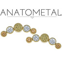 blog logo of Anatometal