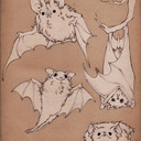 Bats and magic