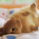 Bunny Time