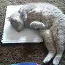 My Kitty Helps Me Draw