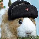 socialist guinea pigs