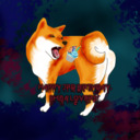  Shiba Lovers