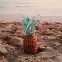 pineapplesblog