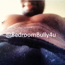 blog logo of The Bedroom Bully