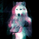 blog logo of She Wolf