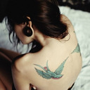 Love Tattoos